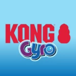 KONG Gyro Logo
